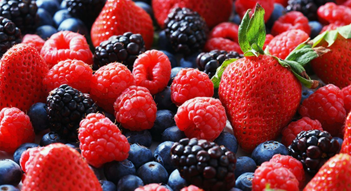 Exportación de berries